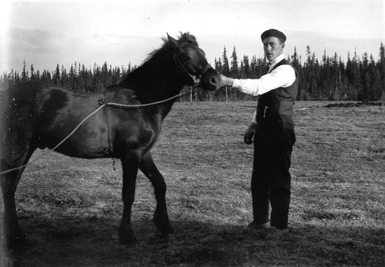 Arvid Höglander med sin hingst på 1930-talet.