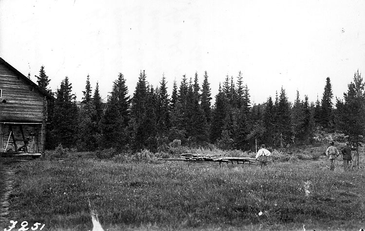 Midnattsfoto sommaren 1916. Hjalmar Höglund tog...