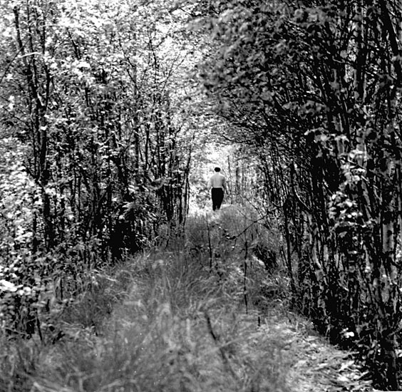 Promenad 1962 efter gammvallen vid Skallen, Hac...