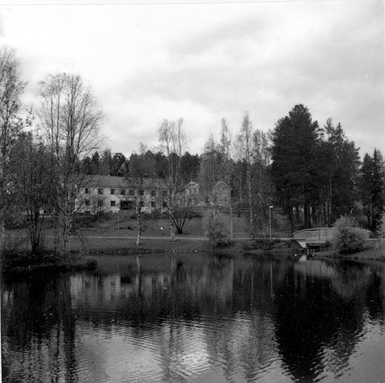 Djupskolavan från norr med Mo & Domsjö skogskon...