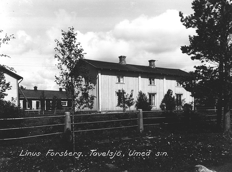 Linus Forsbergs gård, Tavelsjö.