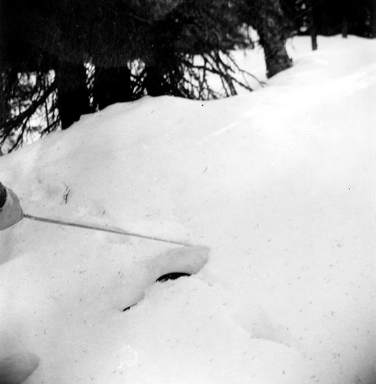 Edvin Anundsson. Med spjälken öses snön, 1947.