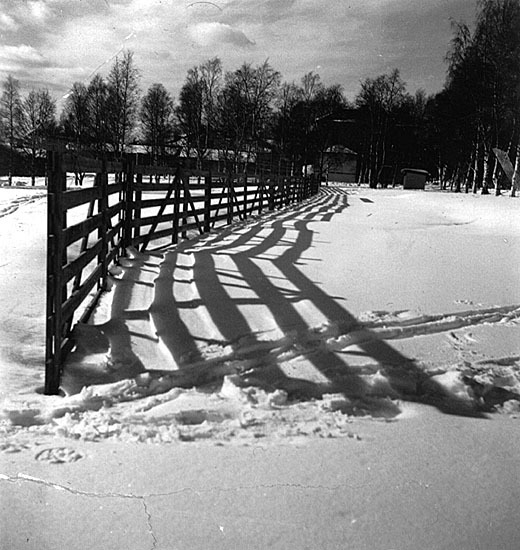 Broparken 1937.