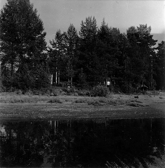 Biplats från Sängsjöåns utlopp till Stamsjöbadet.