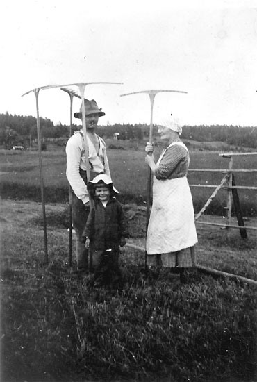 Slåtterfolk. Karl Holmberg med hustrun Hulda oc...