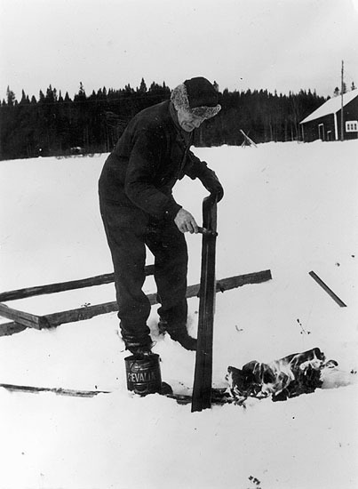 Hugo Åström tjärar skidor.