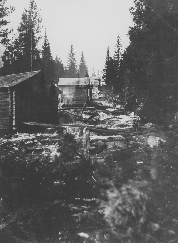 Qvarnbäcken vid Granö. 3 juni 1899.