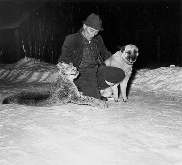 Viking Jonsson, Dalasjö, med hund och jaktbyte