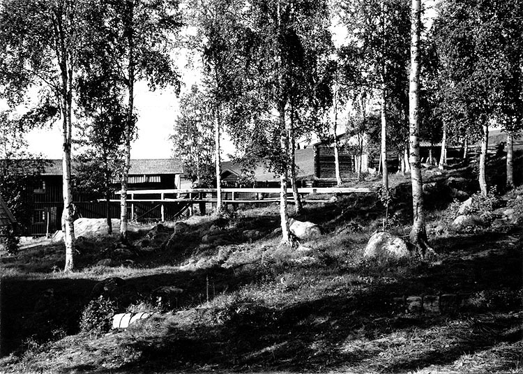 Torvsjö kvarnar 1981.