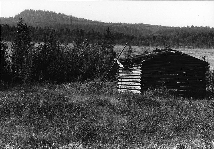 Slåtterängar vid Bjurträsket, Norsjö.