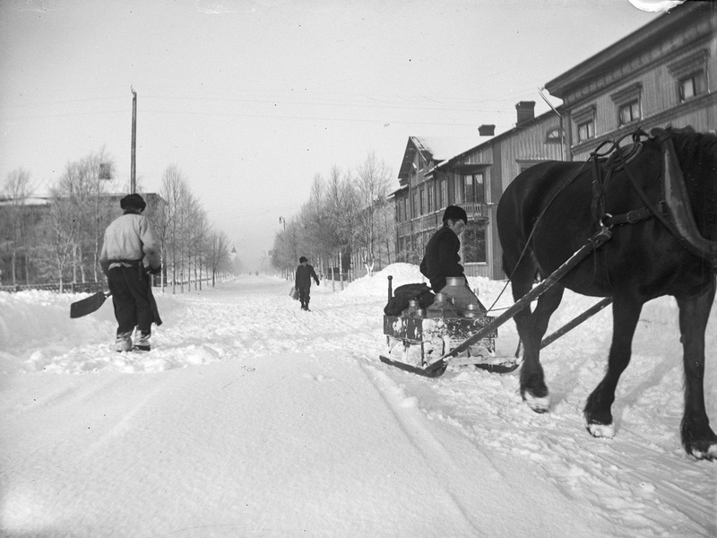 Nyfallen snö i Umeå 1902 gubben Lerström