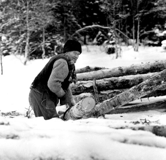 Olle Almkvist, Strömnäs, i skogen 1958.