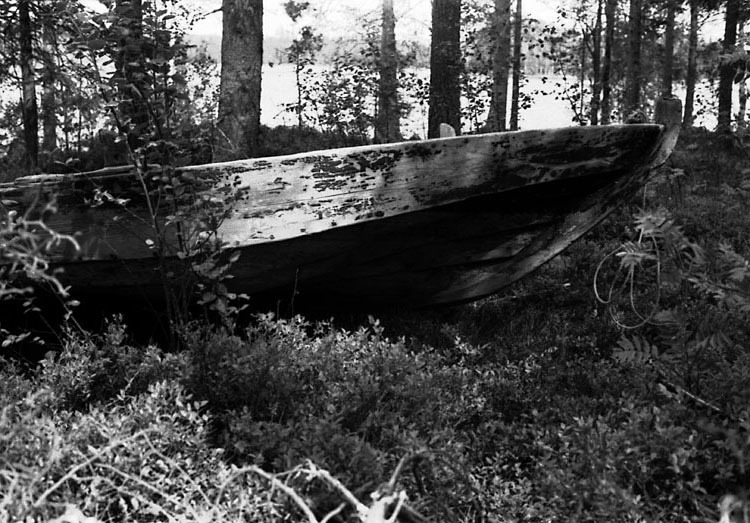 Höbåt från Storsävarträsk. Längd 749 cm. Störst...