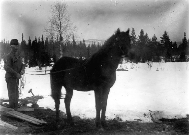 J A Grundström, Nordsjö med sin hingst, 1930-ta...
