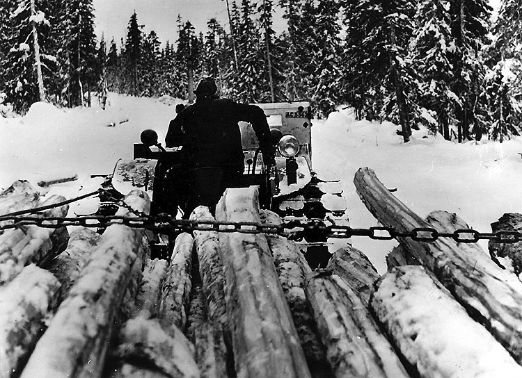 Verner Jonsson kör timmer på Torvseleskogen 1955.