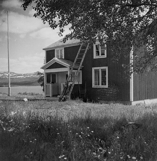 Holmfrid Larssons gård i Klimpfjäll, 1944.