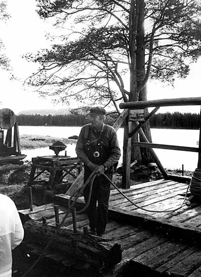 Torvsjö kvarnar, 1981.
