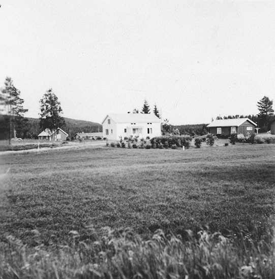 Alex. Olofssons gård.
