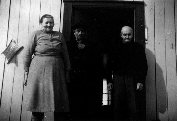 Stående från vänster: Signe Natanaelsson, född ...