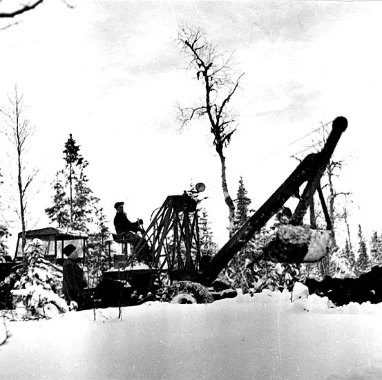 Skogsdikning 1955 på Sundberget. Hansbo entr. L...