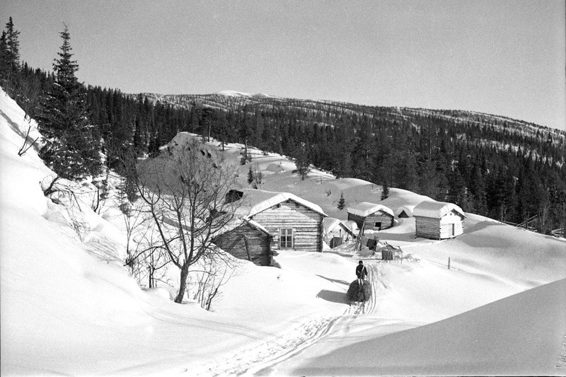 Utsikt från Örnbo