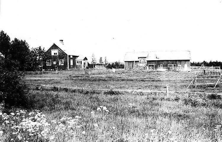 Frans Lindgrens gård på 1940-talet.