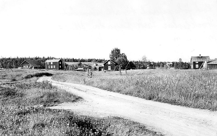 Från höger: Robert Gebarts gård, Albert Persson...