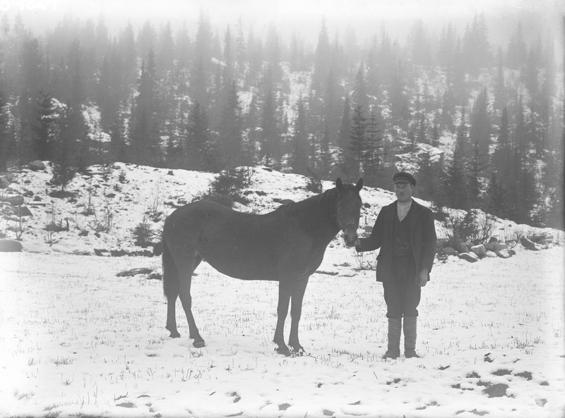 Gustav Karlsson, Fiskoviken, med en häst.