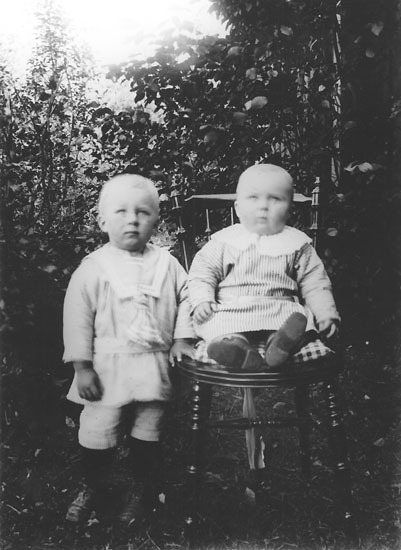 Syskonen Viktor och Georg Eriksson, söner till ...