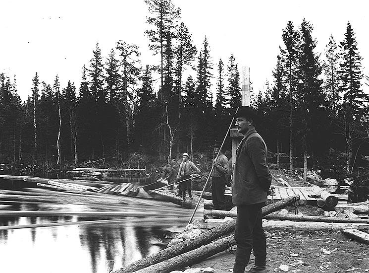 Flottning i Storarmsjön omkring 1906. I förgrun...