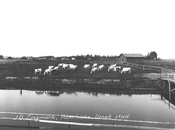 J. O Zingmarks gård, Ytterhiske.