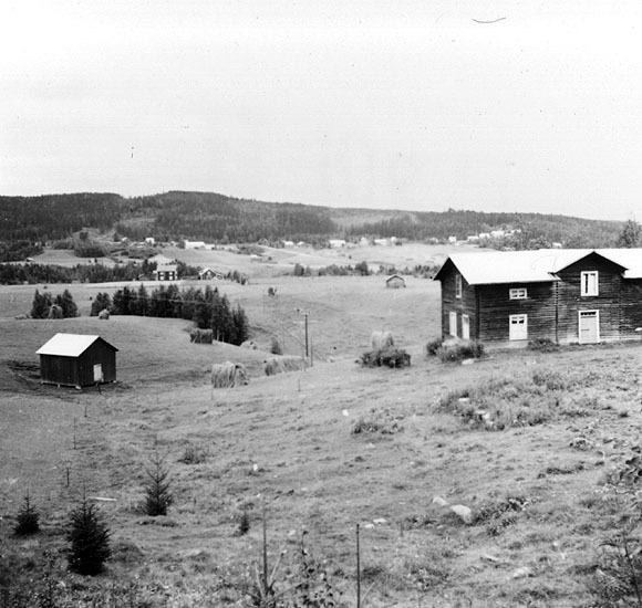 Fårberg. Foto från östra sidan Örträsket.