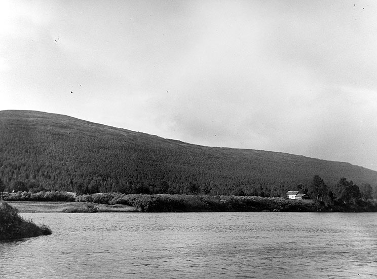Storholmen vid Vindelälven norr om Ammarnäs.