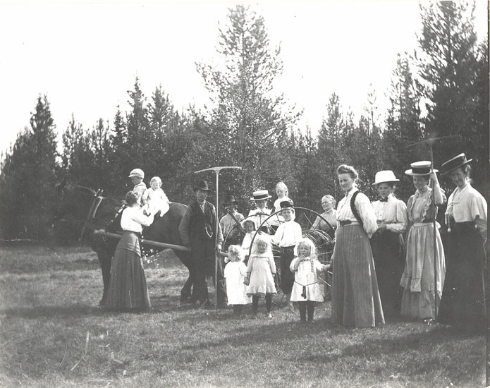 Höbärning i Granö 1909. Selmas syster Agnes Lun...