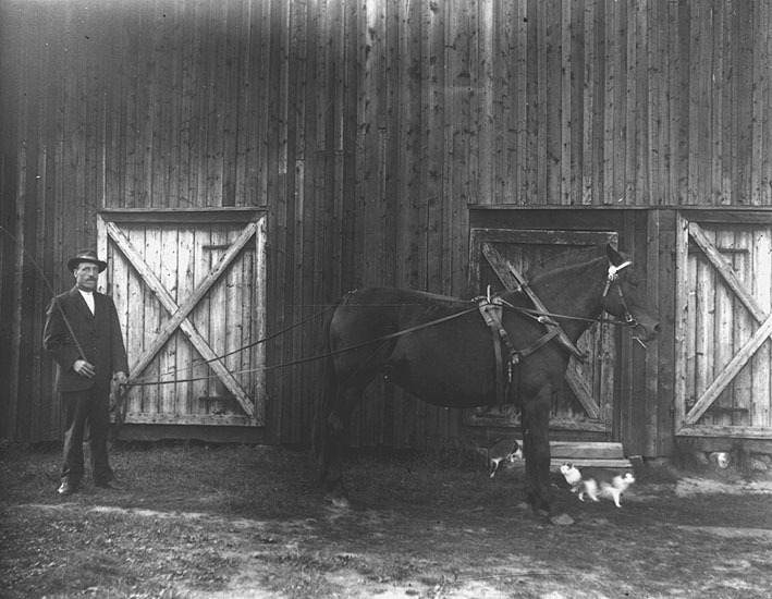 Henrik Lagerlöv med häst Agnäs.