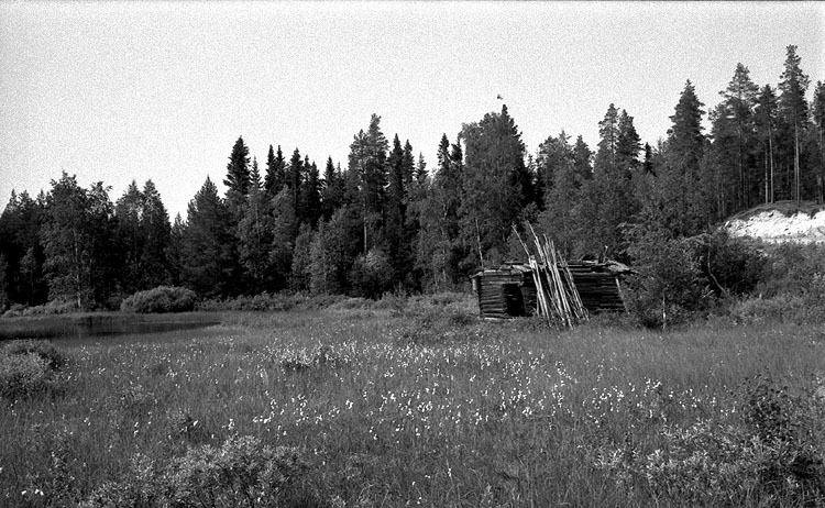 Slåtterängar längs Åman.