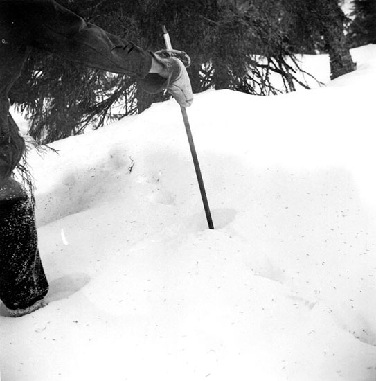 Edvin Anundsson. Med käppen görs en grop i snön...