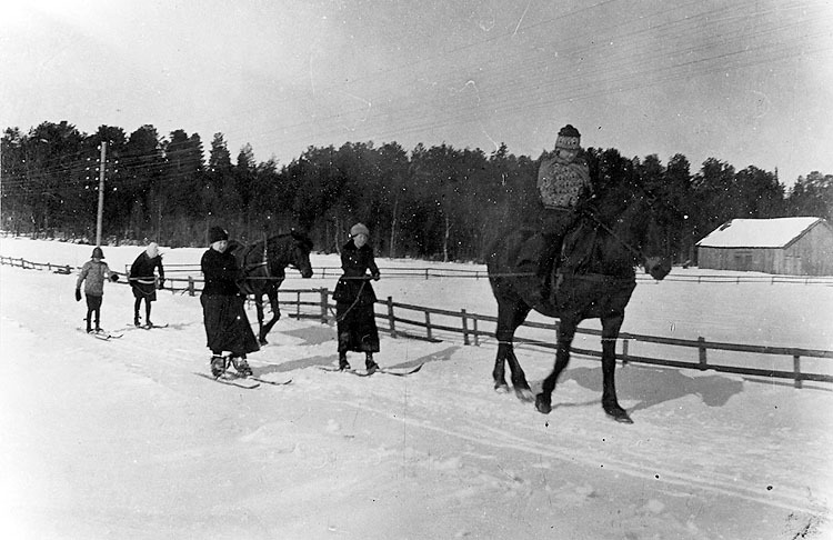Tolkning efter häst 1919.