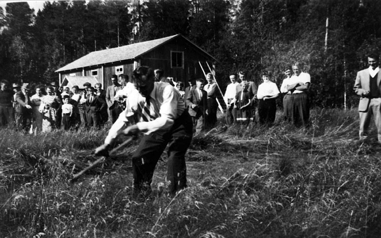 Slåttertävlan på Sjönäset 1960. Huvudpersonen E...