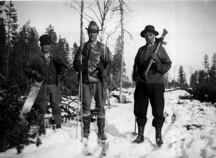 Skogsavverkning vid Bäverselet, 1939.