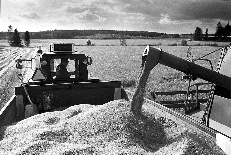 Gösta och Henrik Holmbergs jordbruksföretag, Ro...