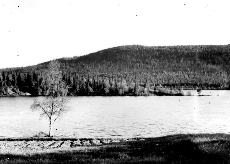 Vojmåns utlopp vid Nyluspen före dammbygget, 1947.
