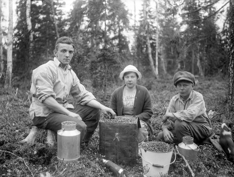 Edvin Norman m.fl i skogen på bärplockning 1921