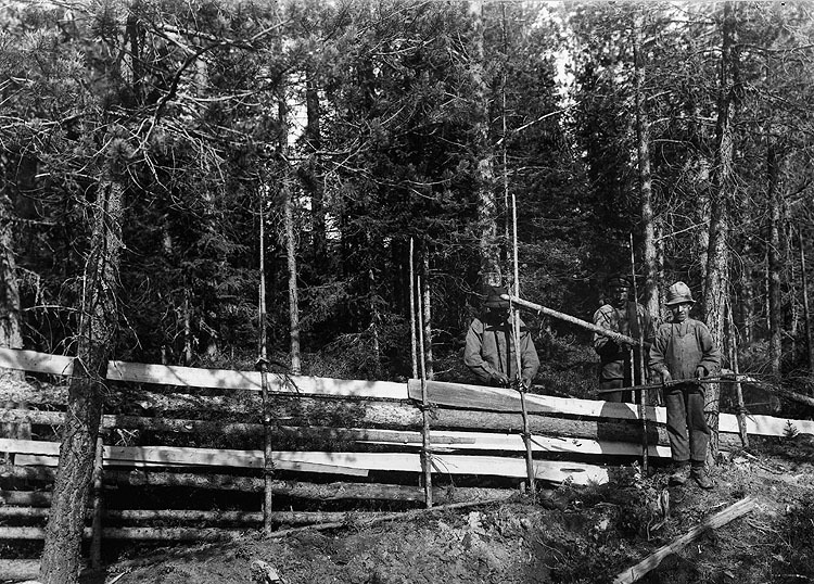 Uppsättning av skihage 1929.