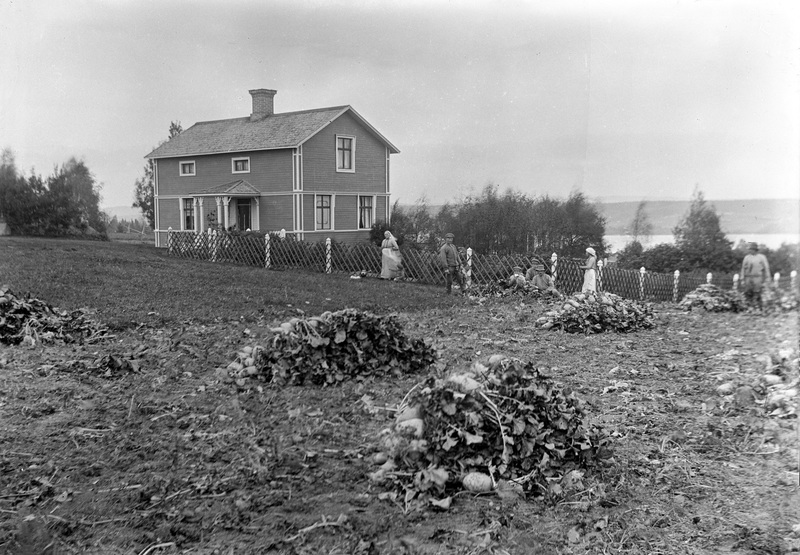 Olle Karlssons gård i Ånäset.