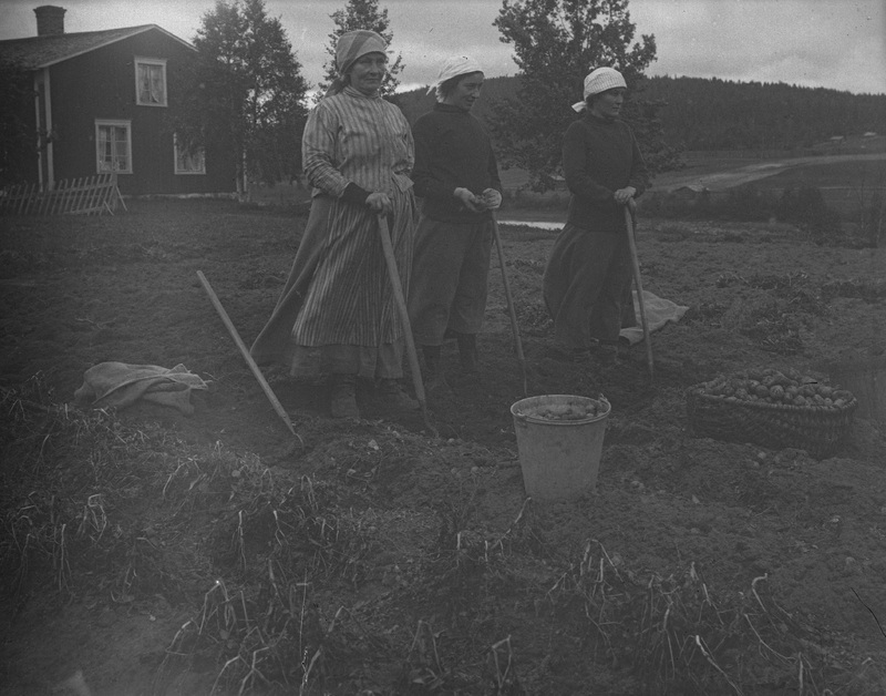 Anna, Naema, Betty Nordström, Sunnanå 1910-1920.
