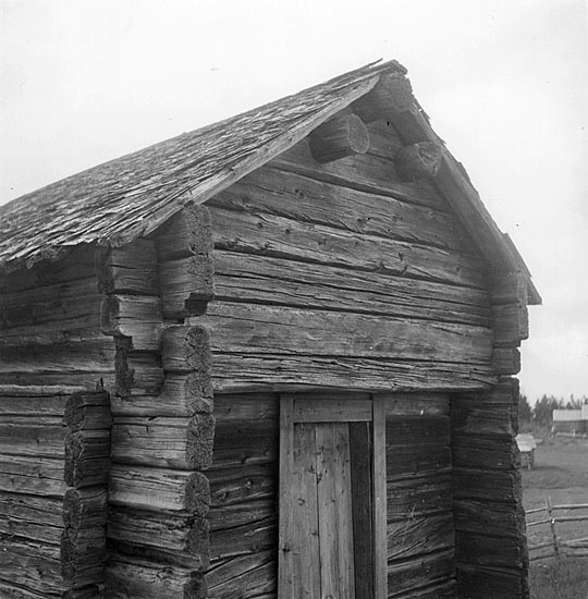 Taket på Oskar Valbergs stolphärbre av samisk typ.