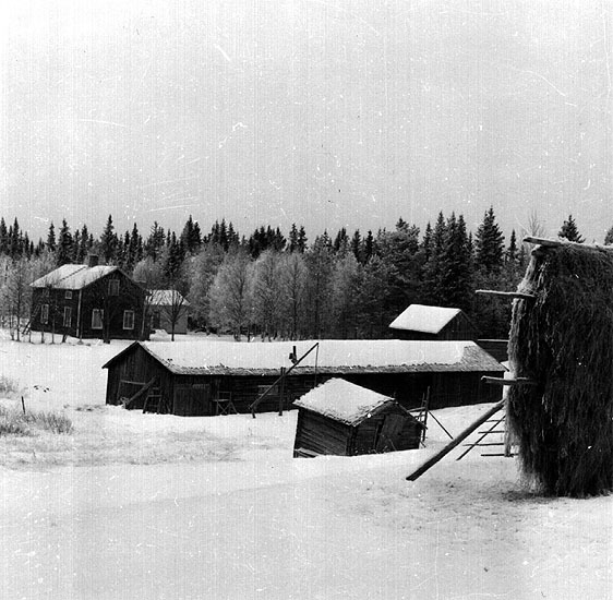 Marsbäcksbränna, Bäsksjö, ödegård, 1961.