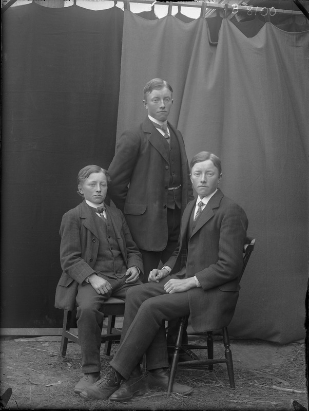 Bröderna Elis, Tycko och Albert Asplund, Heden.