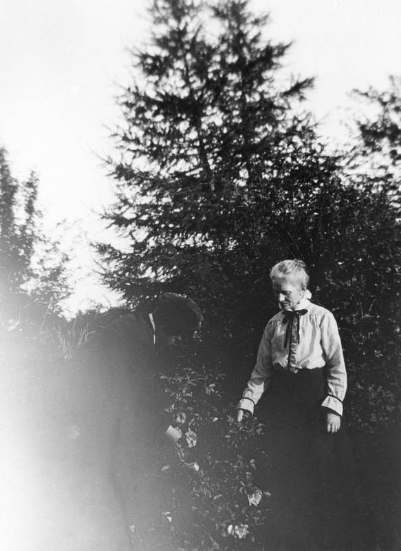Fanny Nordenfors i trädgården Vilhelmina 1918.